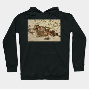 Tiger Cubs Hoodie